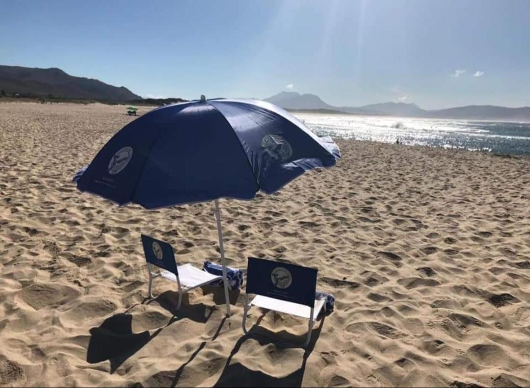 Kleinmond Lodge 外观 照片